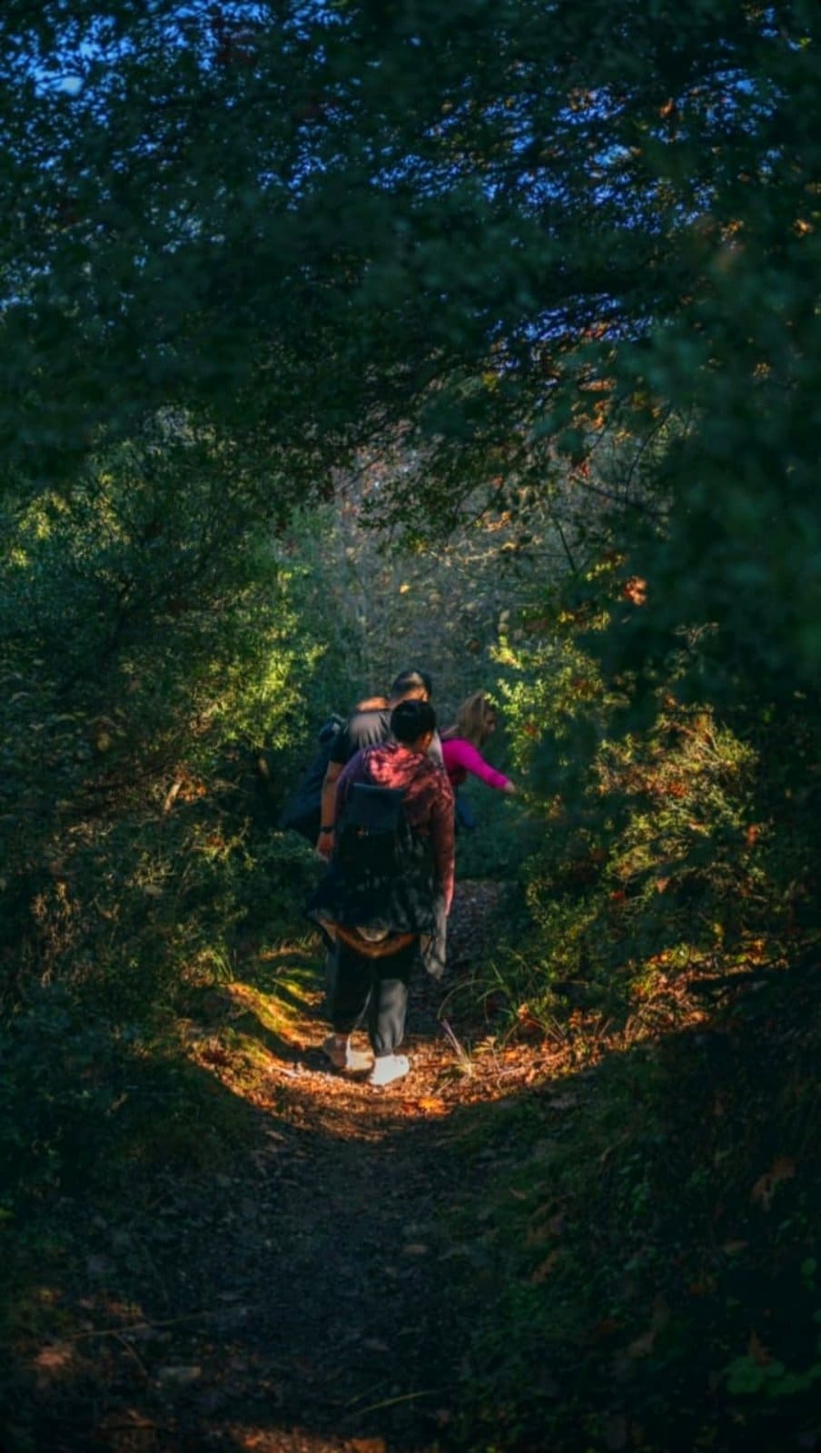 Meteora:Following the hidden trails