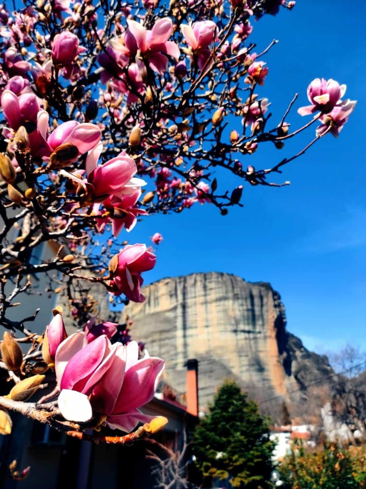 Two-Days Tour from Athens to Meteora by Train/Bus