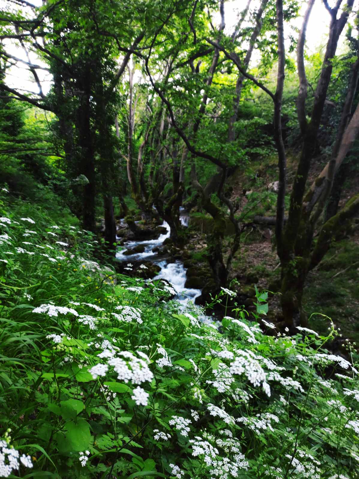 Private Hiking Tour in Meteora